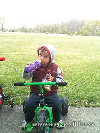 Raising a sensory seeker
