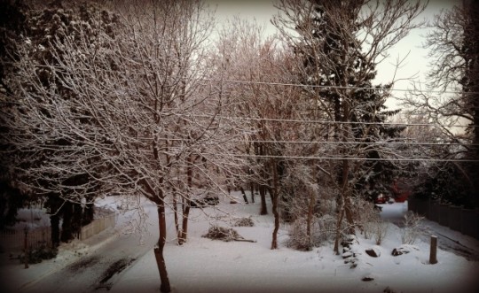 snow