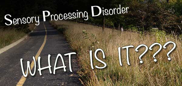 What is Sensory Processing Disorder?