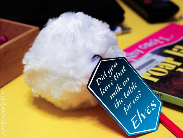 Snowball message about spilled milk #Northpolefun #shop