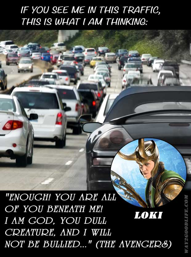 Snickers-Sitting-in-Traffic