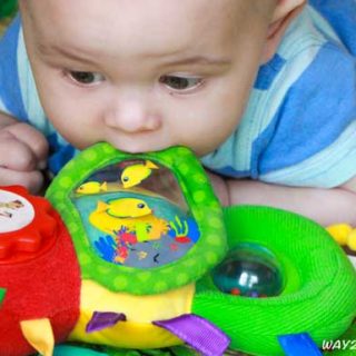 baby chews toy
