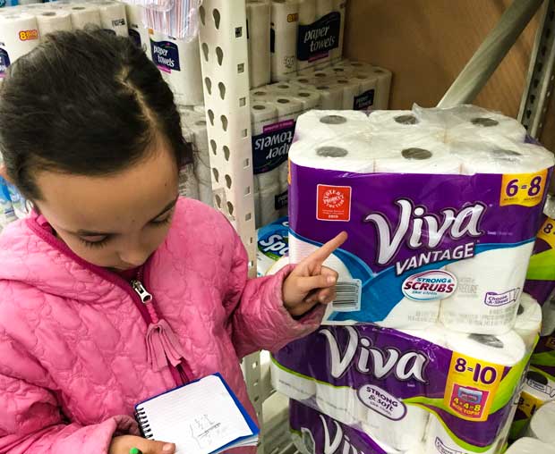 Shopping-Walmart-Viva-toilet-paper