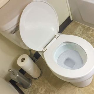 Clean Toilet and Bathroom