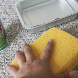 Carpet cleaning bloat again with sponge
