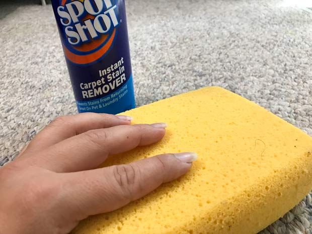 Clean carpet with sponge