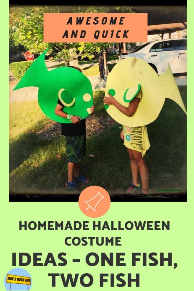 Awesome Homemade Halloween Costume Ideas One Fish Two Fish