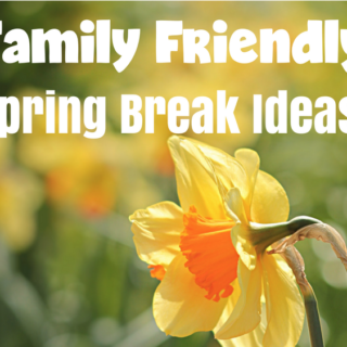 Faily Friendly Spring Break ideas