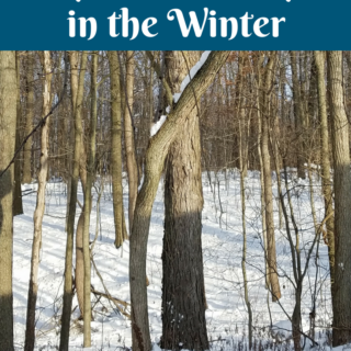 Check out our list of great Things to do in Michigan in the winter months! This list is full of amazing things that Michigan is well known for!