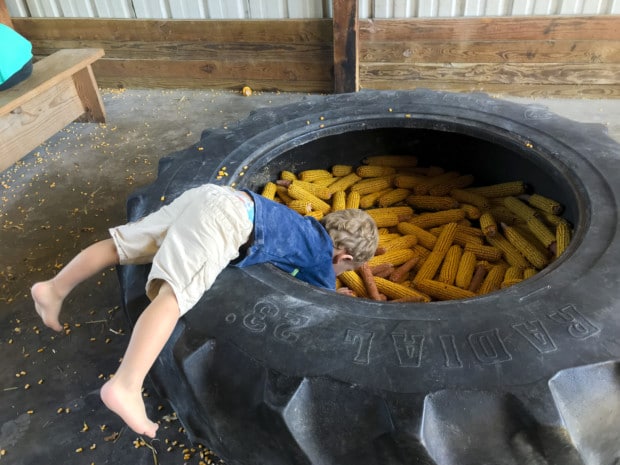Kelsay Farm boy in corn tire