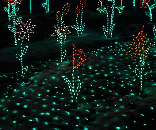 Holiday Christmas lights on the ground