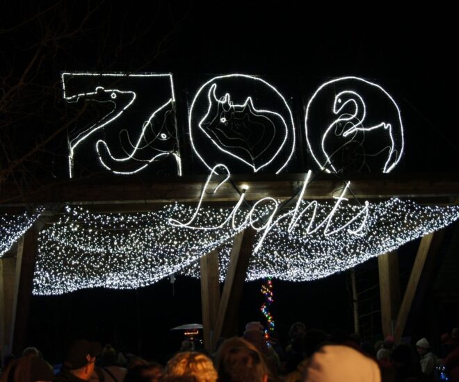 Holiday Christmas lights