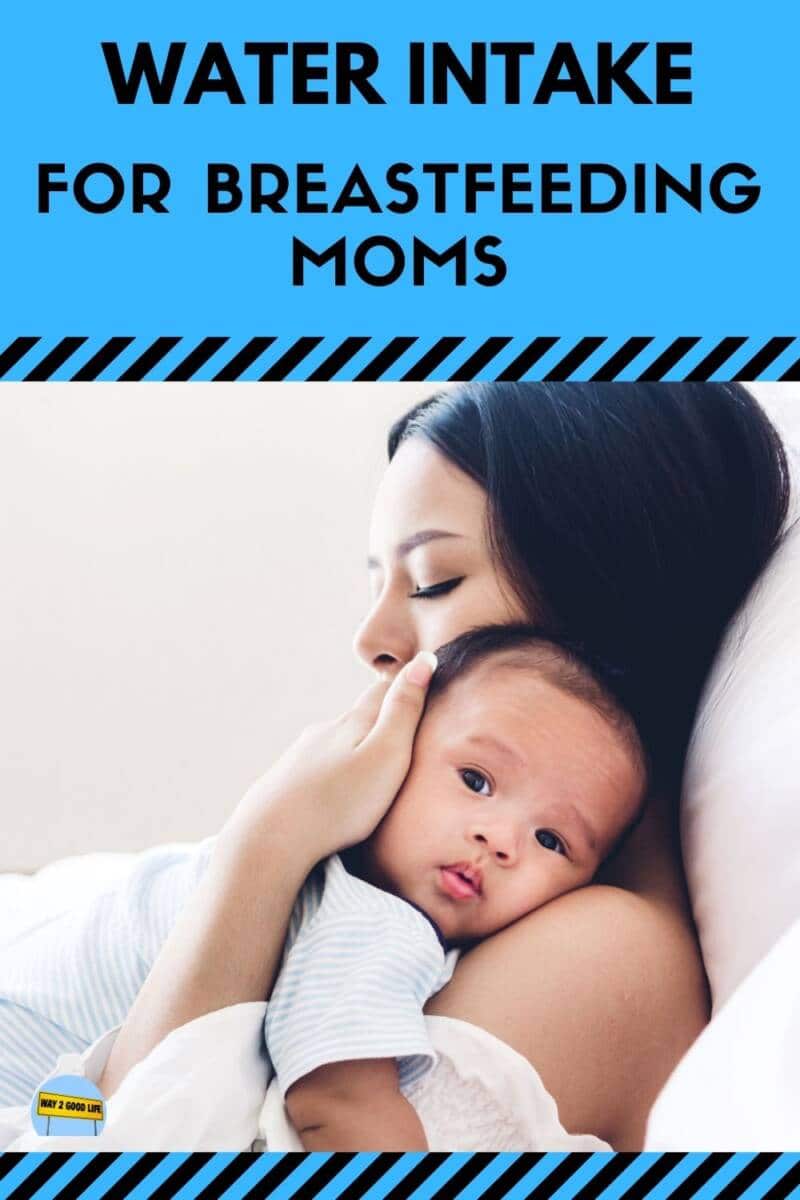 breastfeeding-calorie-calculator-virtsurfer