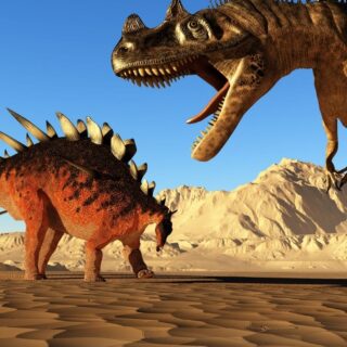 Two dinosaur in the sand