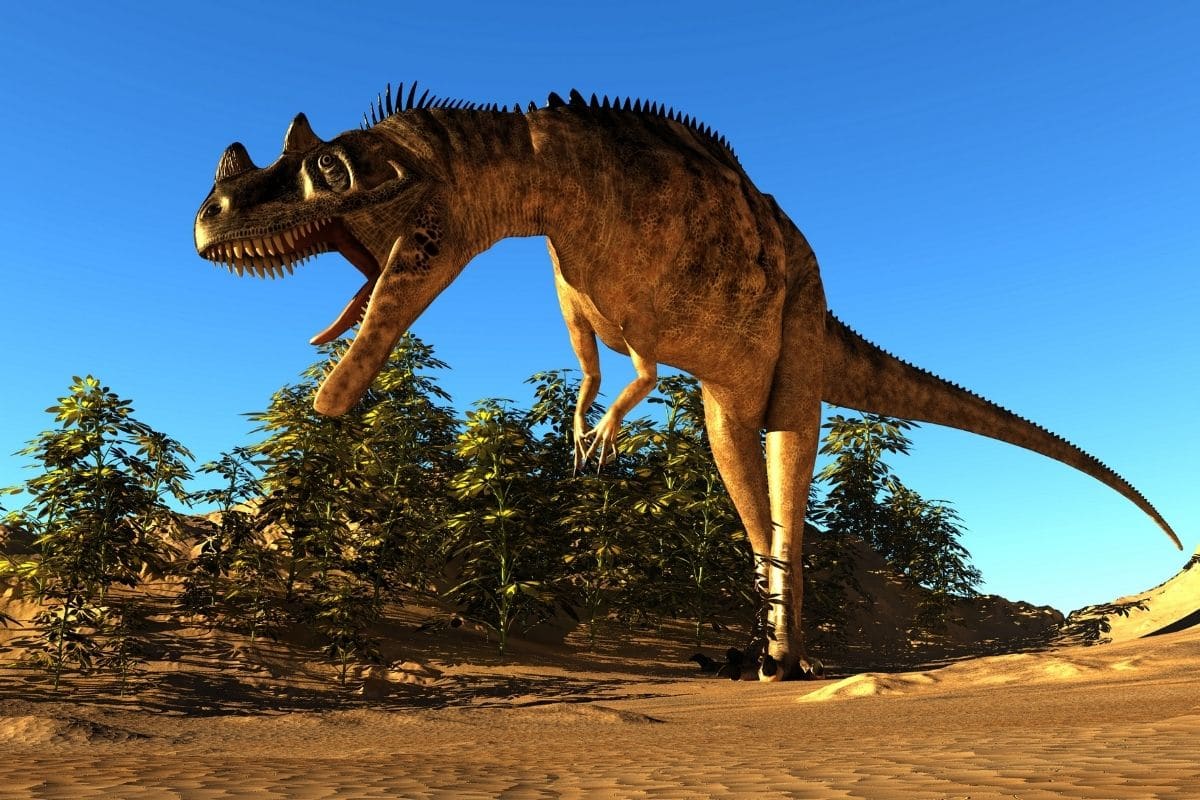 natures art dinosaur place